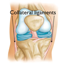 collaterals